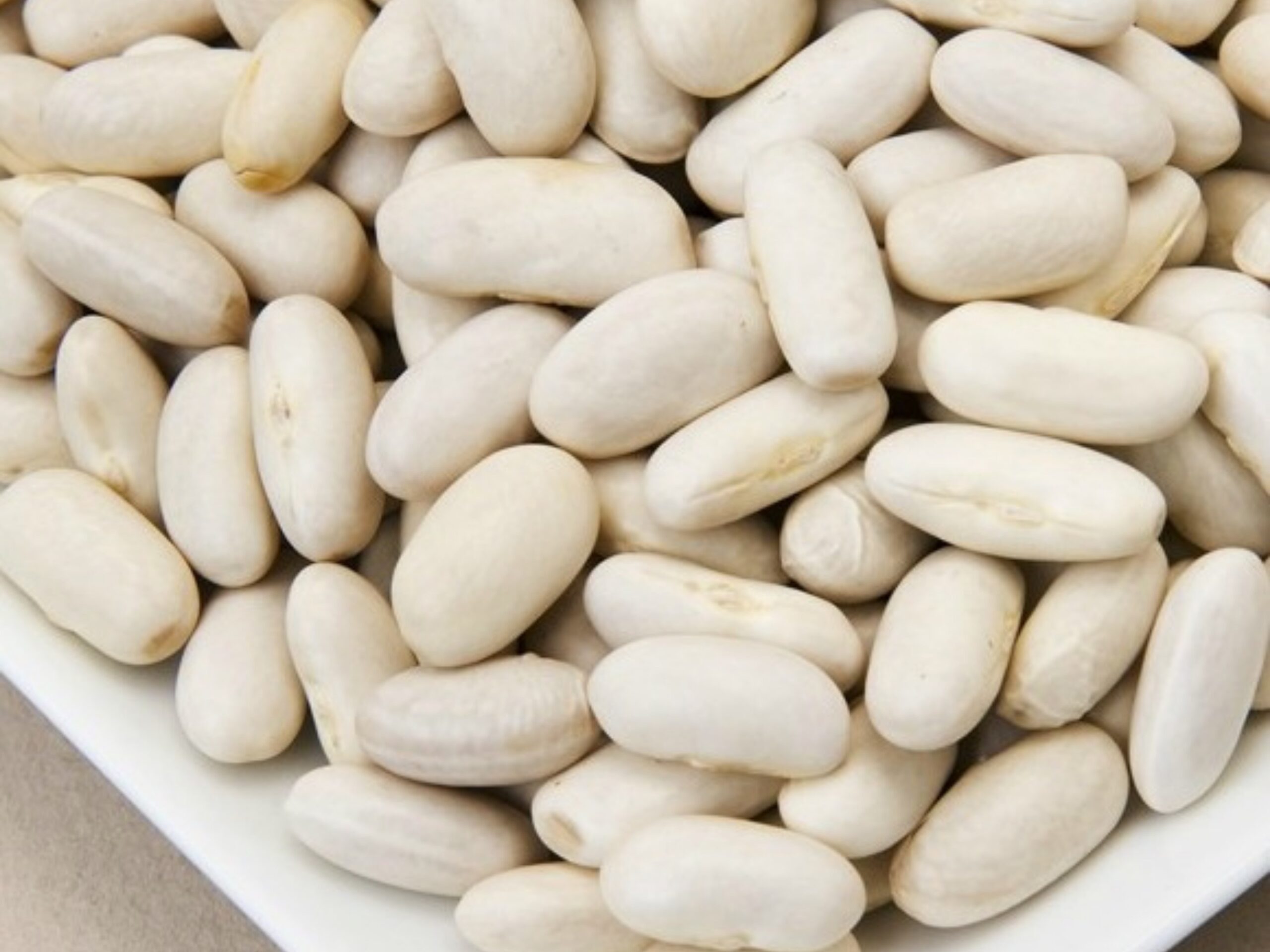 PRIZMA WHITE DERMASON BEAN 1KG