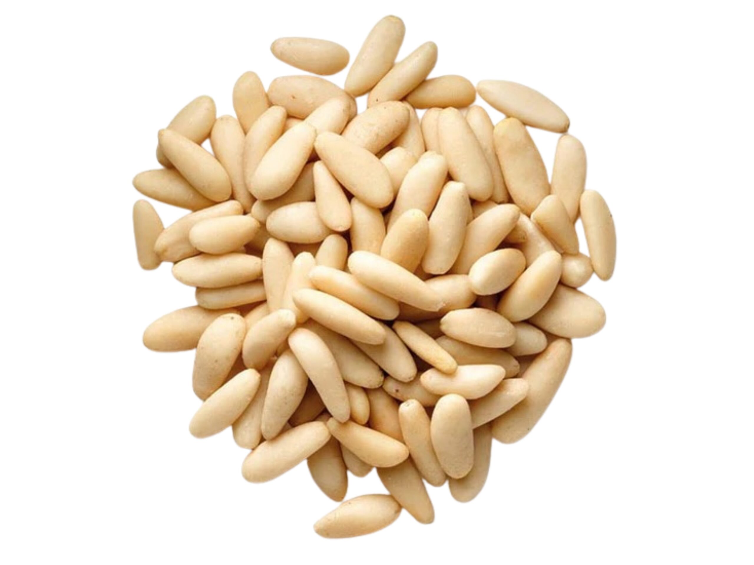 DOLMALIK FISTIK PINE NUTS 0,10 LB
