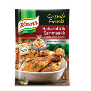KNORR SPICY GARLIC SEASONING / SARIMSAKLI BAHARATLI CESNI 34GR